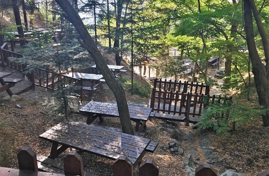 Лесная зона для пикника в кипрской деревушке Агридия - отличное место для отдыха на природе!: фото 5