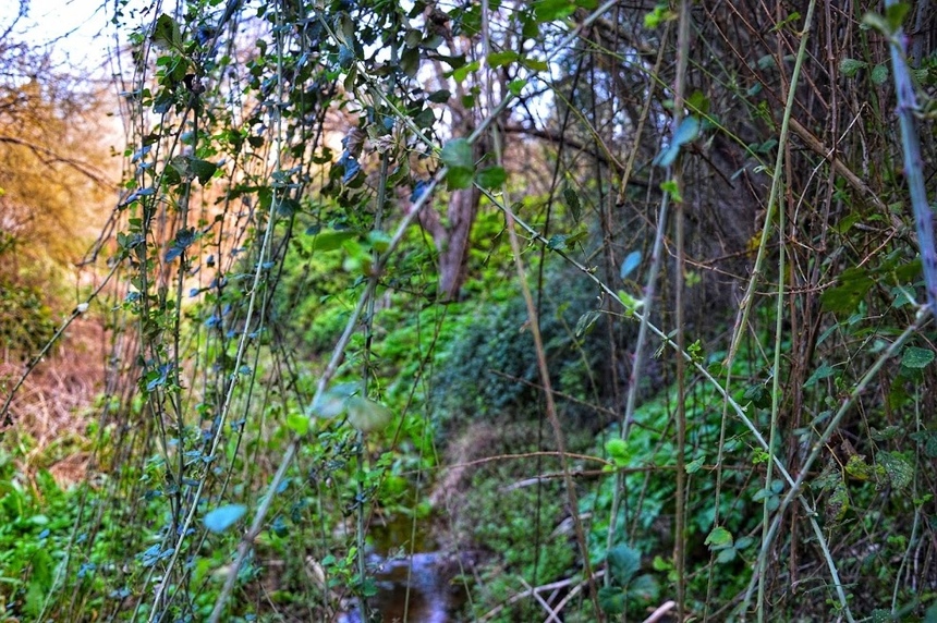 Путешествие по традиционным деревушкам Кипра. Хулу и секретный водопад. Часть 3: фото 68