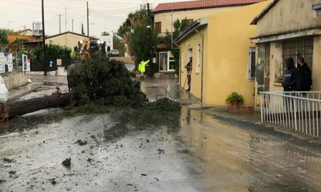 Летающие деревья и разбитые дома на Кипре!: фото 2