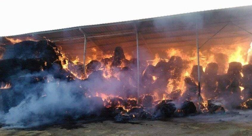 Мощный пожар в Пафосе уничтожил сена на 10 тысяч евро: фото 2