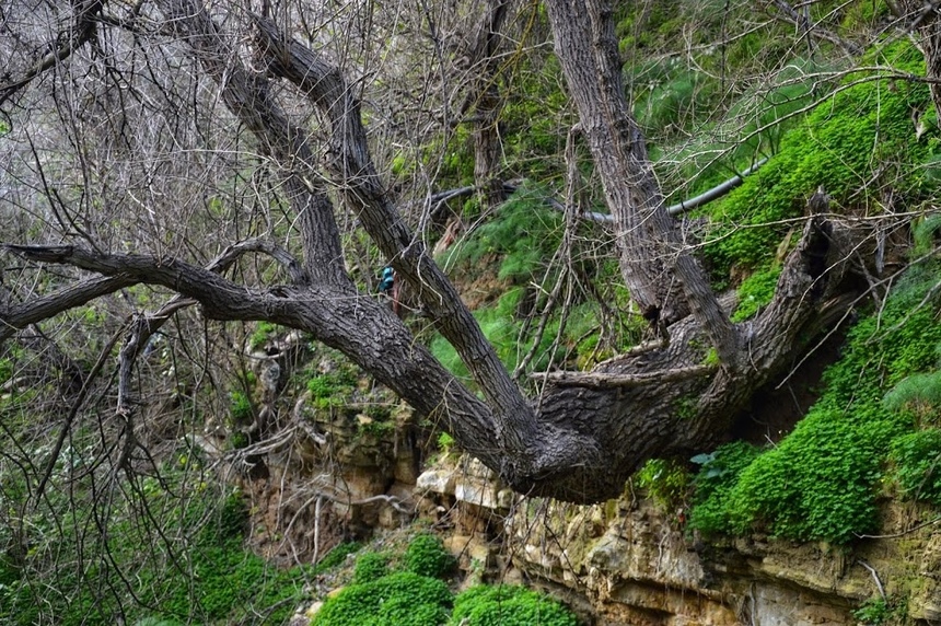 Путешествие по традиционным деревушкам Кипра. Хулу и секретный водопад. Часть 3: фото 86