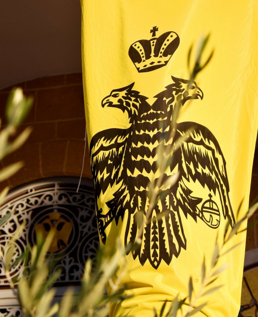 Кипрский орел: фото 3