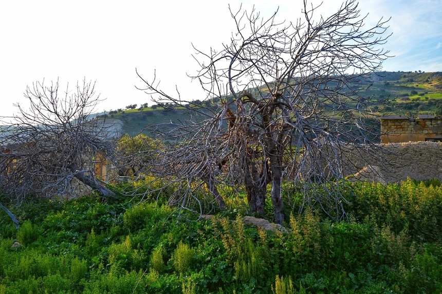 Сускью. Покинутый мир Кипра. Часть 8: фото 88