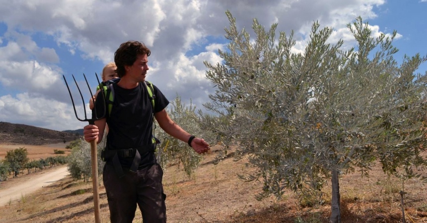Кипрское оливковое масло - лекарство от всех болезней: фото 4