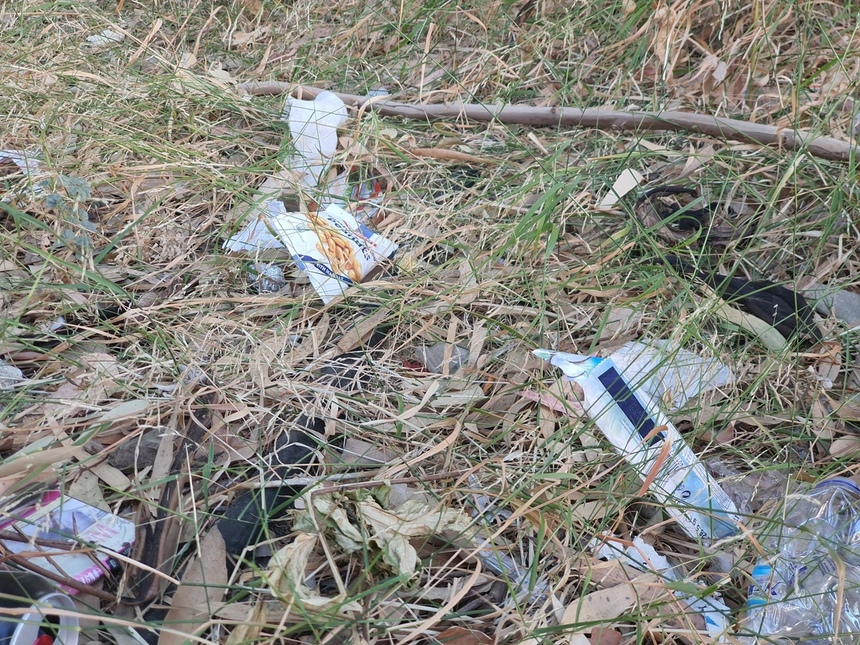 Парк Дасуди в Лимассоле снова зарастает мусором: фото 2