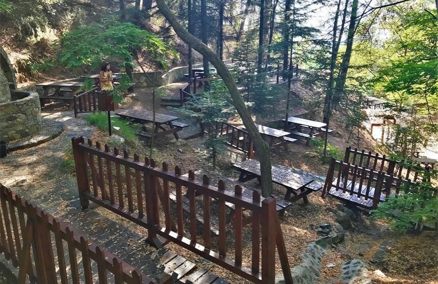 Лесная зона для пикника в кипрской деревушке Агридия - отличное место для отдыха на природе!: фото 11