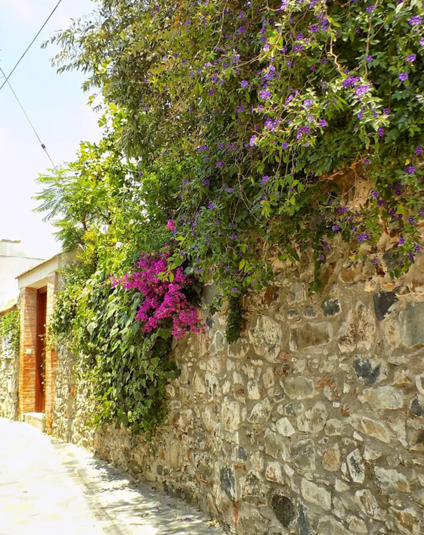 Акапну - одна из самых маленьких живописных деревушек на Кипре (Фото и Видео): фото 9
