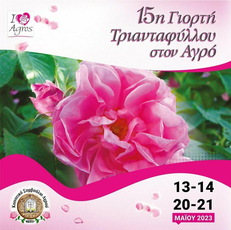 В деревне Агрос продет фестиваль роз: фото 2