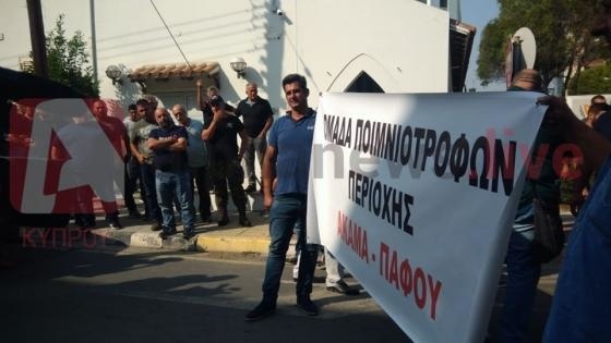 Кипрские фермеры вышли на митинг в защиту халлуми: фото 4