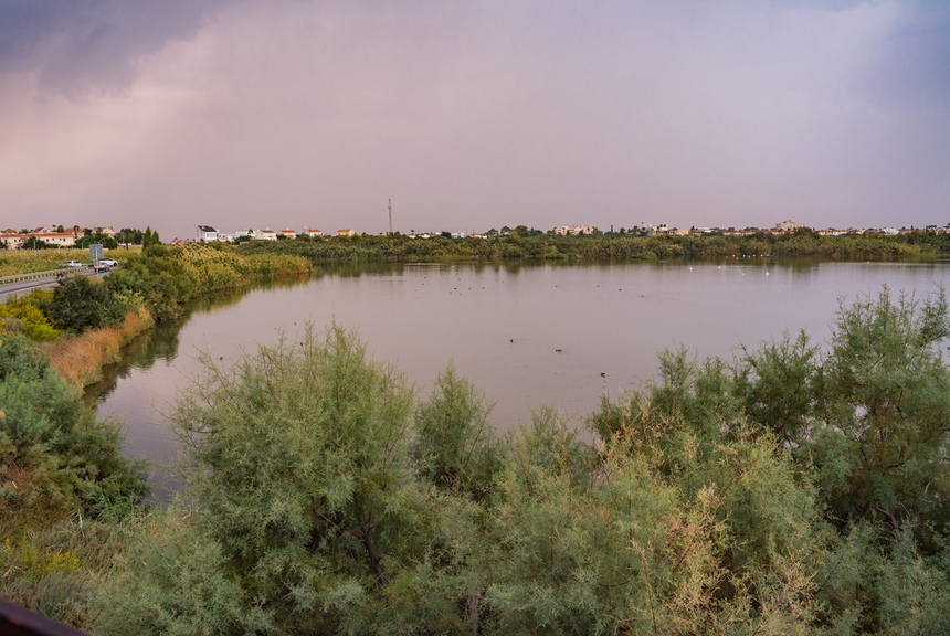 Озеро Ороклини - фантастическая охраняемая природная зона на Кипре и место для наблюдения за птицами : фото 6