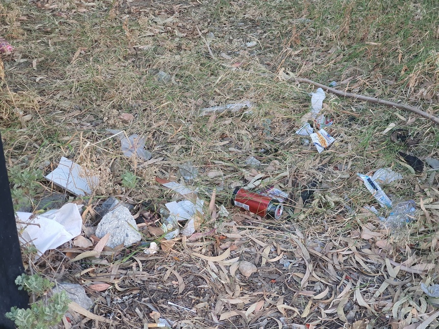 Парк Дасуди в Лимассоле снова зарастает мусором: фото 6