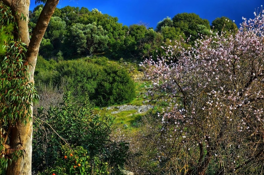 Путешествие по традиционным деревушкам Кипра. Хулу и секретный водопад. Часть 3: фото 34