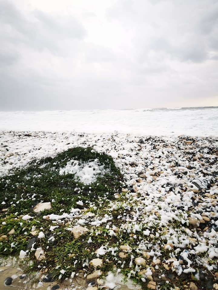 Кипрские пляжи украсил "Прибрежный капучино": фото 7
