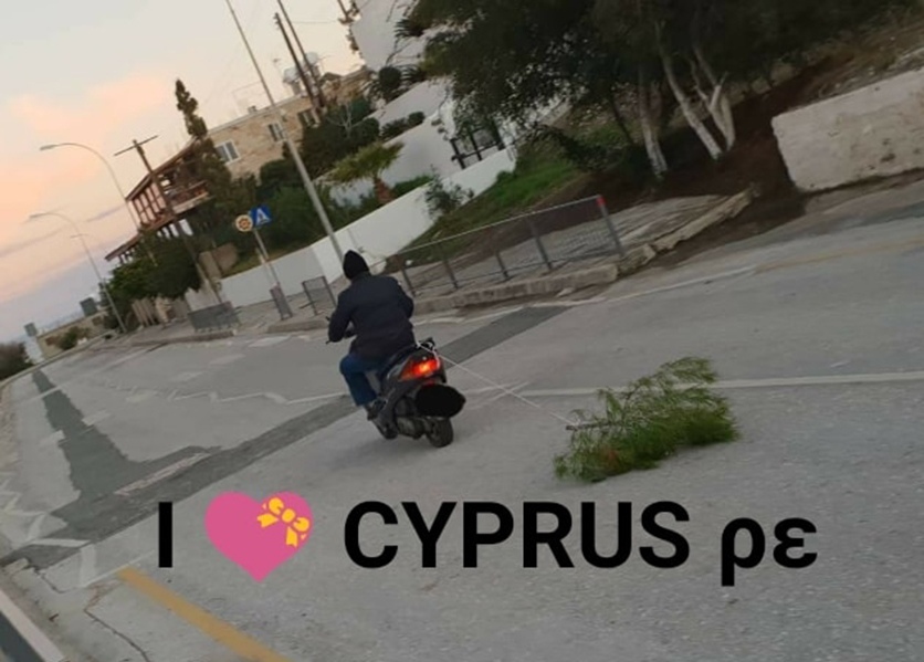 "Ехали медведи на велосипеде": Курьезные и странные случаи на кипрских дорогах! : фото 31