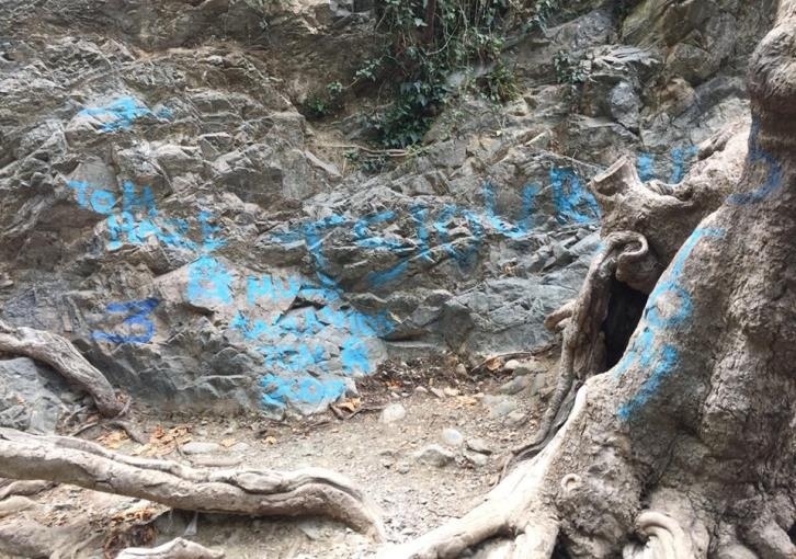 Неизвестные  хулиганы совершили акт вандализма у водопада Милломерис: фото 2