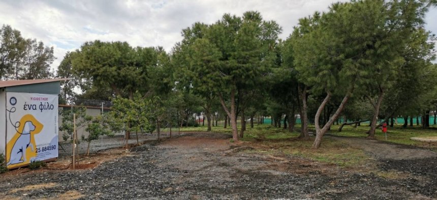 ​В Лимассоле открылся новый парк для выгула собак: фото 4