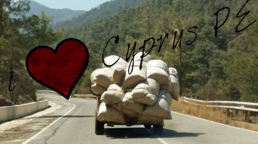 "Ехали медведи на велосипеде": Курьезные и странные случаи на кипрских дорогах! : фото 33