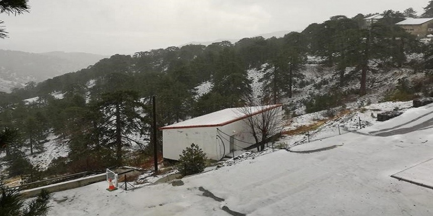 Троодос накрыло снежным покрывалом (Фото): фото 2