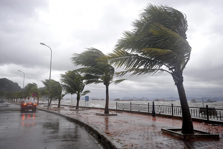 Внимание! На Кипре из-за сильного ветра объявлен «желтый» уровень погодной опасности: фото 2