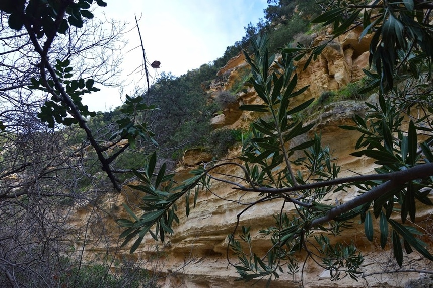 Ущелье Авакас на Кипре (Avakas Gorge. Cyprus): фото 29