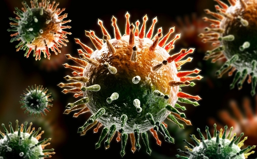 Удивительные факты. Места обитания вирусов и бактерий: фото 5