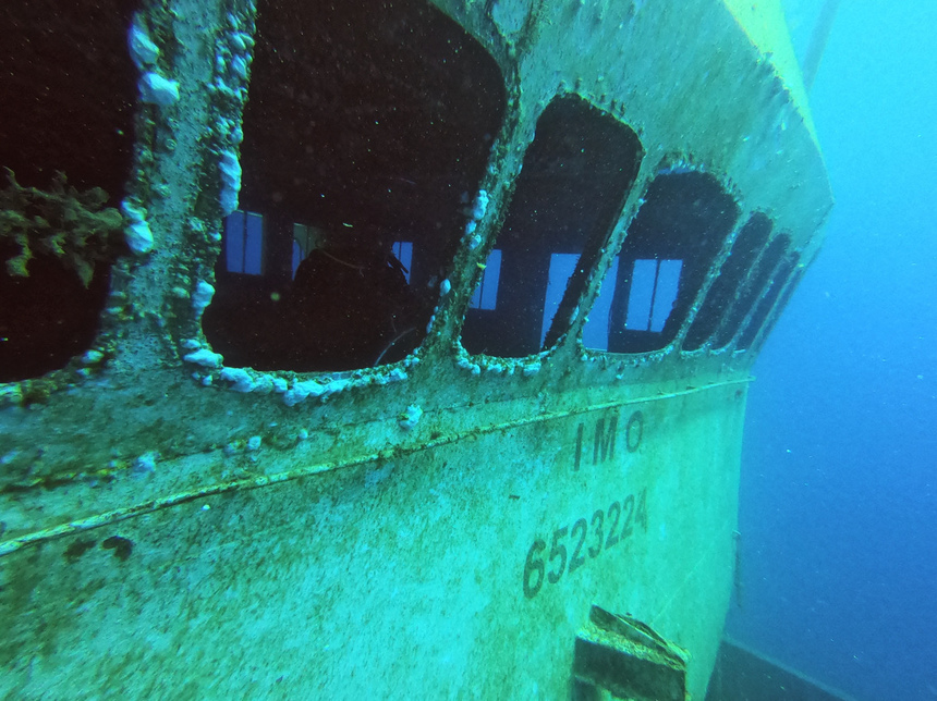 Проникаем в мир кипрских дайверов, пока они проникают в подводный мир: фото 10
