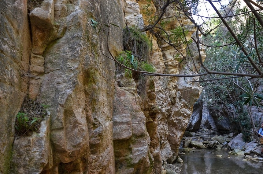 Ущелье Авакас на Кипре (Avakas Gorge. Cyprus): фото 44