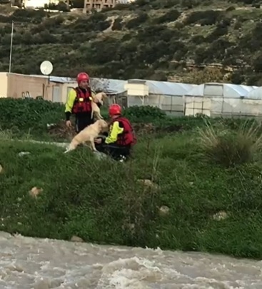 Кипрские спасатели поработали в качестве дедов Мазаев: фото 2