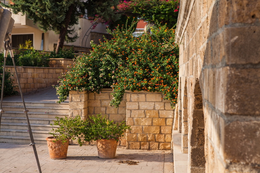 Като Вриси - легендарное место на Кипре, где находились Священные сады богини Афродиты: фото 30