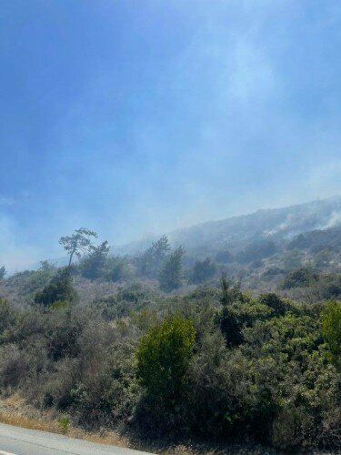 Густой дым от пожара в районе Пареклисия. Горит сухая растительность.