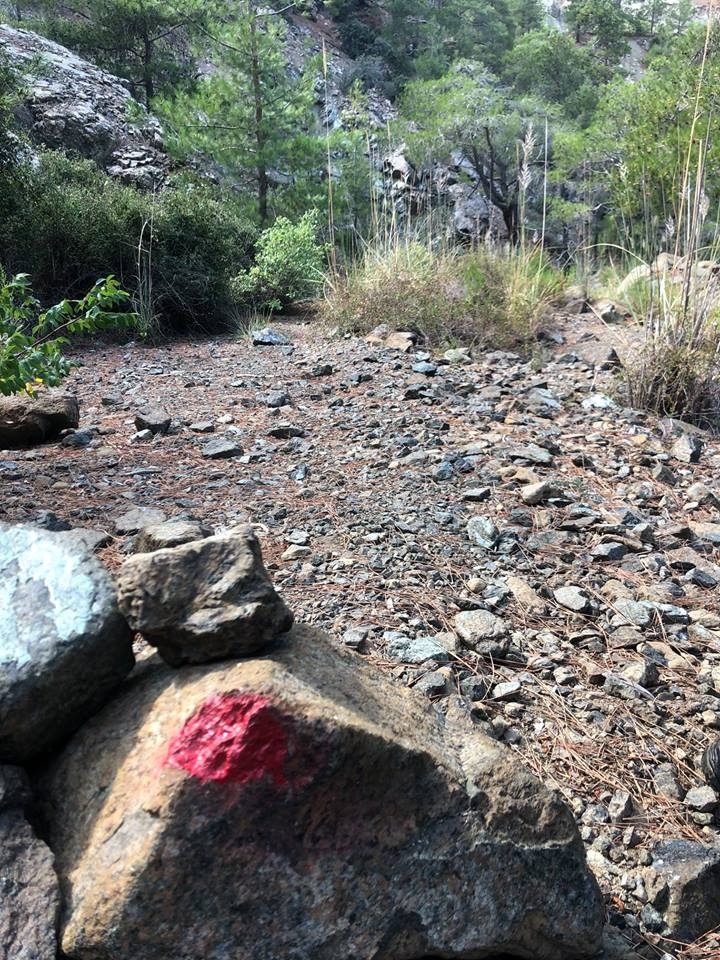 В горах Троодос орудуют очередные художники-вредители: фото 3