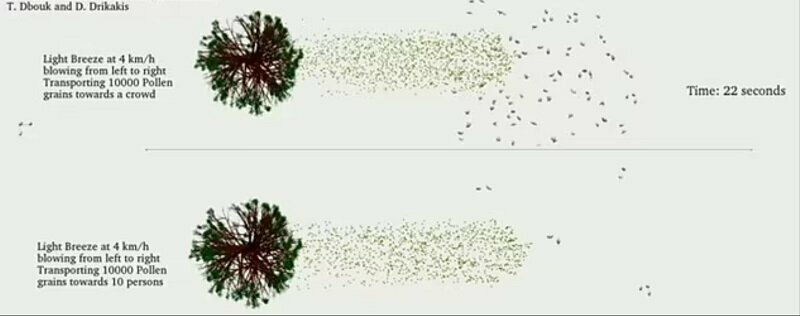 Исследователи создали симуляцию, чтобы предсказать, как пыльца, несущие частицы COVID-19, могут помочь в передаче вируса от человека к человеку