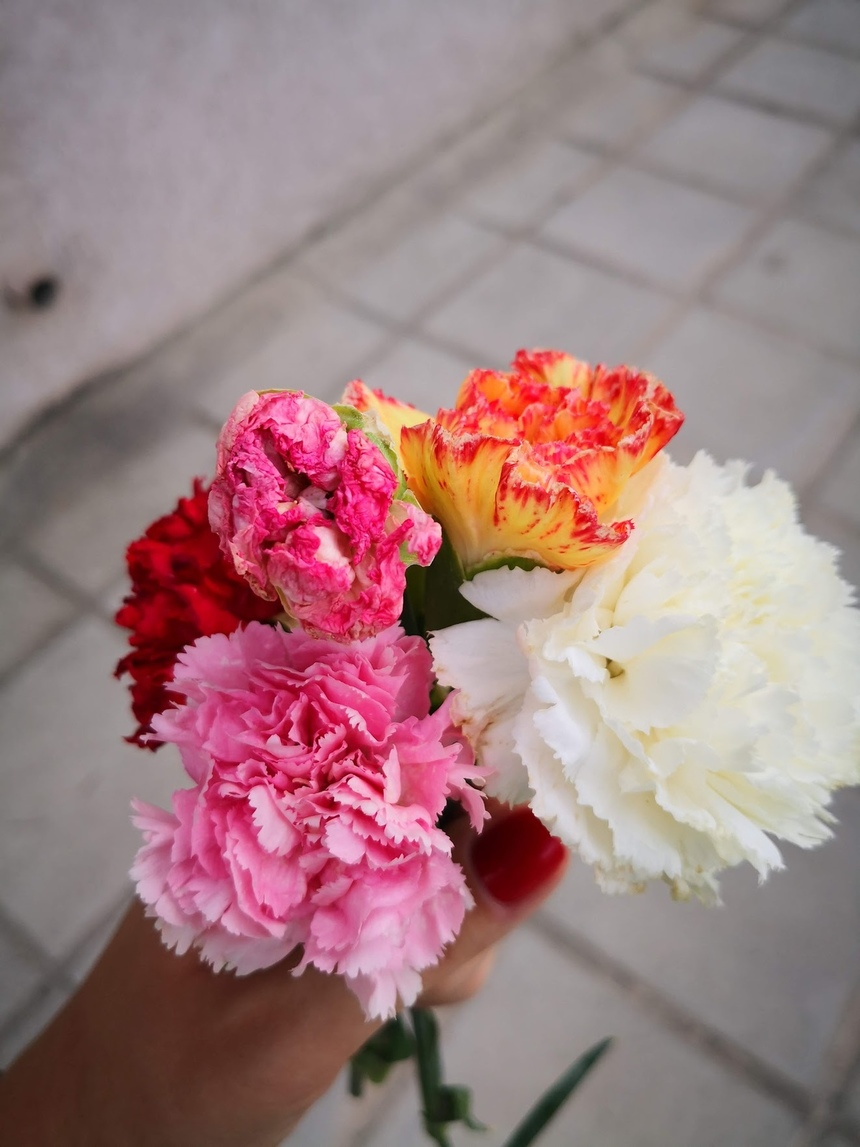 6 мая на Кипре должен был пройти традиционный фестиваль цветов : фото 2