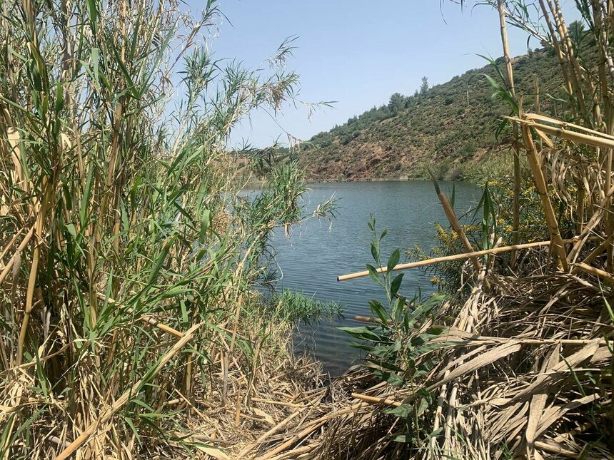 Тур по секретным водохранилищам и озерам Кипра: фото 3