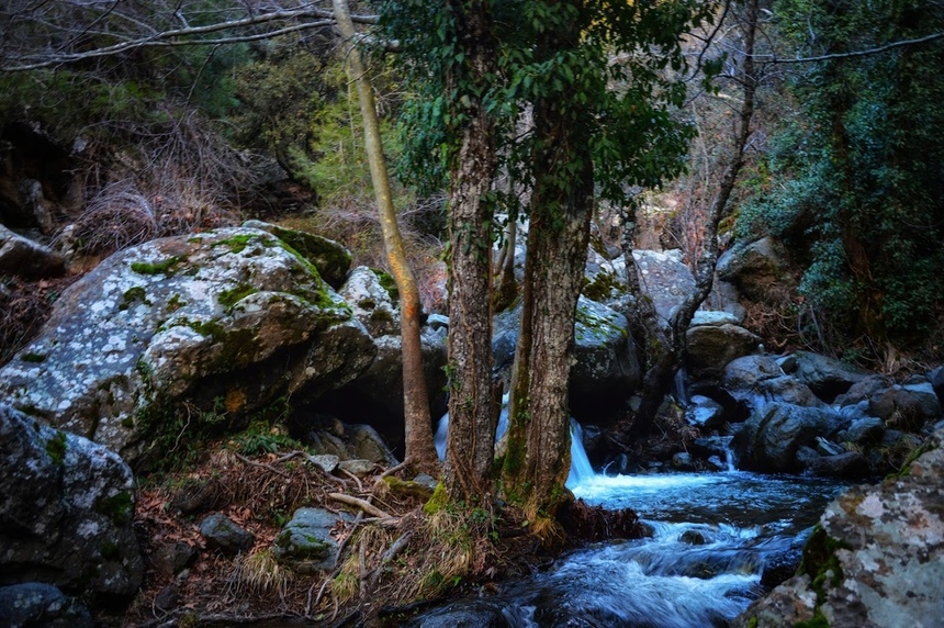 Путешествие до водопада Каледония на Кипре: фото 41
