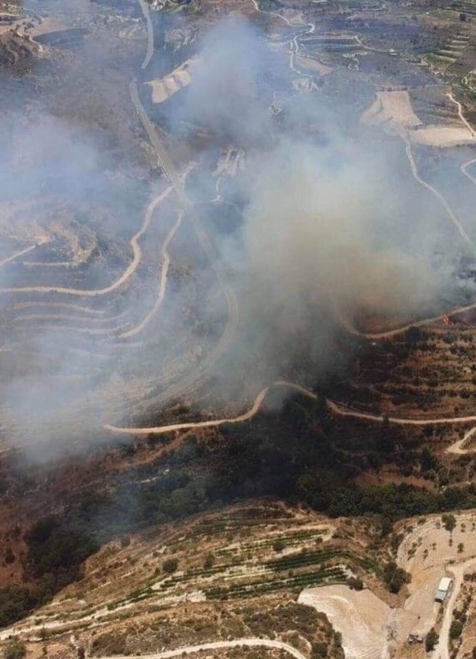 В ликвидации сильнейшего пожара недалеко от Лимассола задействован весь Кипр (Обновлено): фото 3
