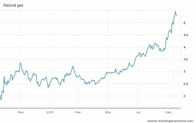 На графике, несмотря на скачки, видно, что природный газ в течение года демонстрировал устойчивый рост- tradingeconomics.com