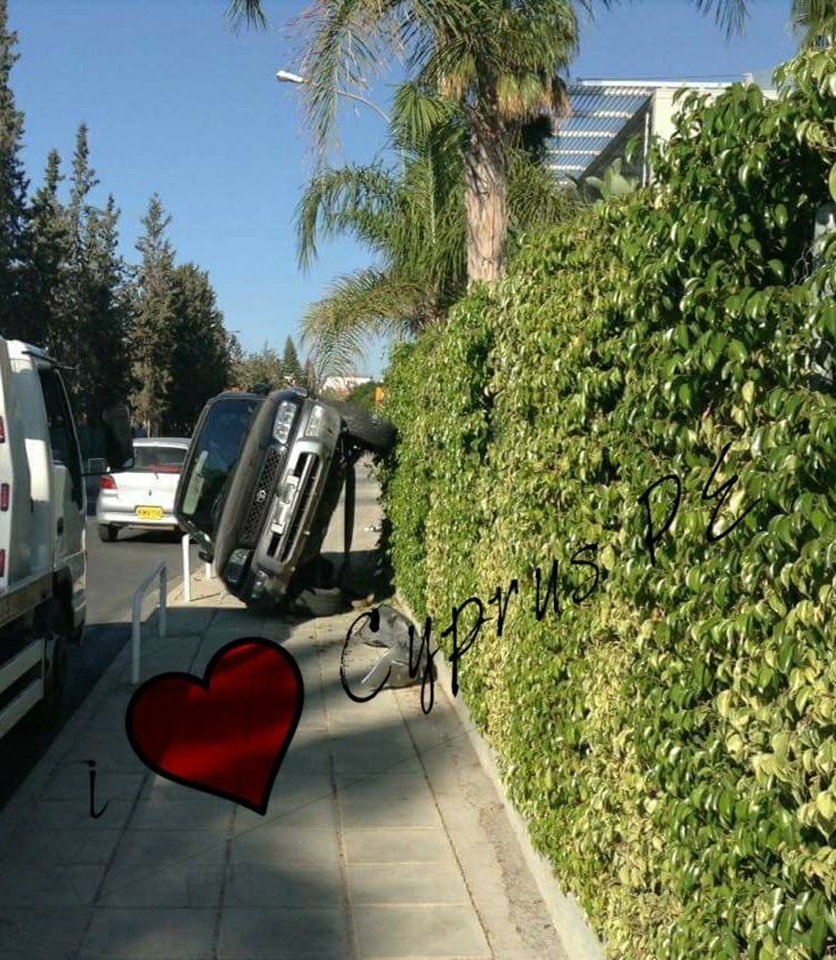 "Ехали медведи на велосипеде": Курьезные и странные случаи на кипрских дорогах! : фото 60