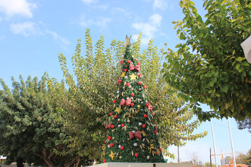 Кипр нарядный: рождественские елки никто не отменял: фото 29