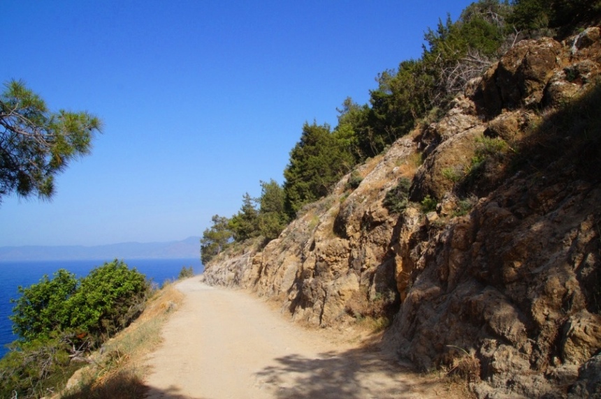 Прогулки на Кипре, часть 1: тропы Акамаса: фото 4