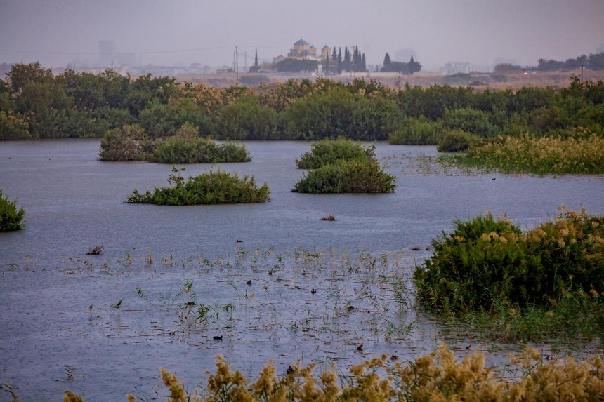 Озеро Ороклини - фантастическая охраняемая природная зона на Кипре и место для наблюдения за птицами : фото 23