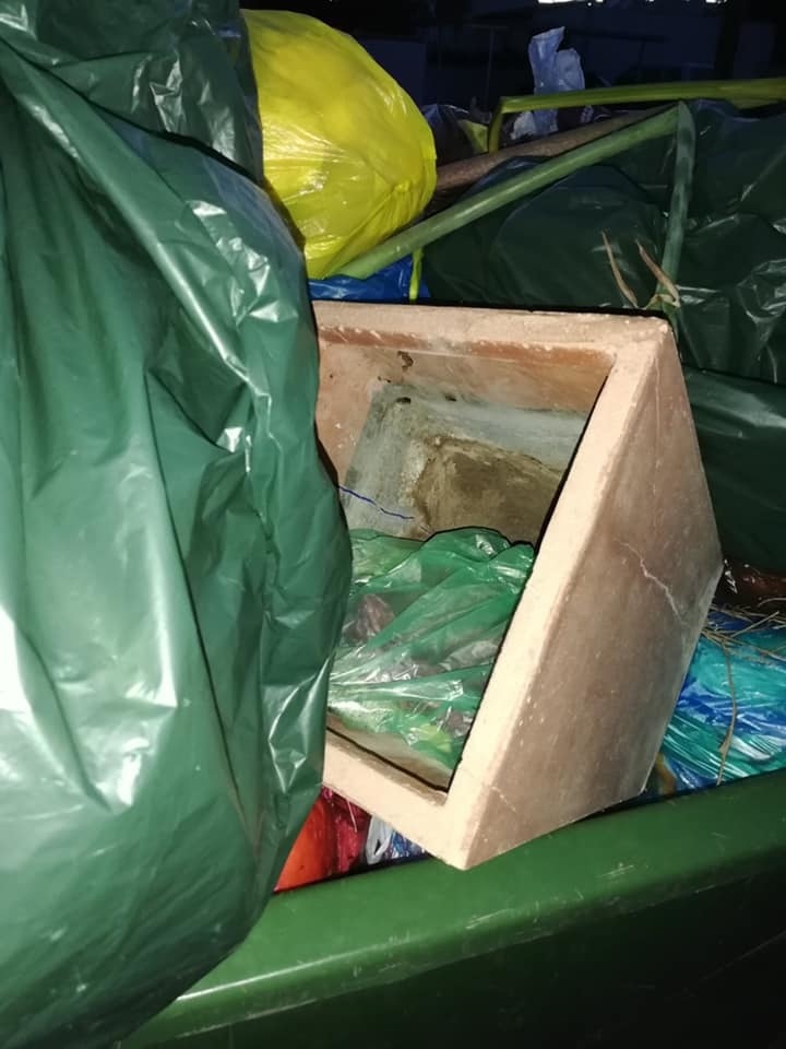 В Ларнаке живых котят выбросили в мусорный бак, упаковав в полиэтиленовый пакет: фото 2
