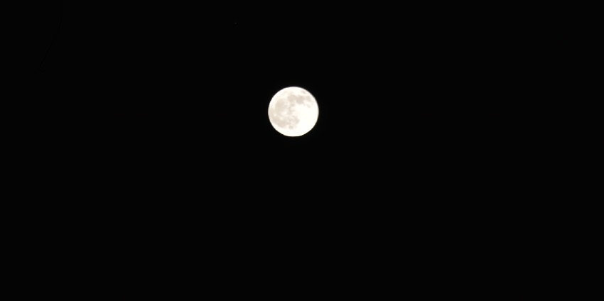 В эту ночь прошло первое лунное затмение 2020 : фото 2