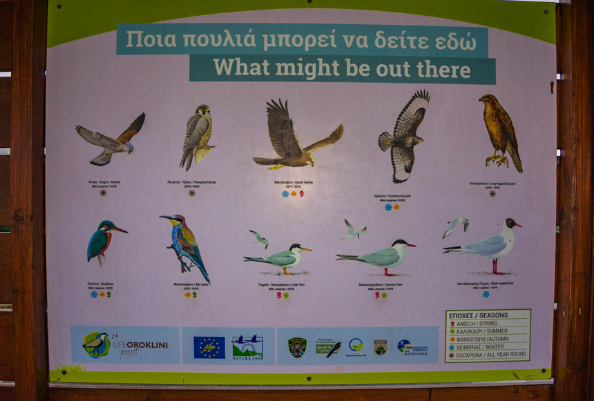 Озеро Ороклини - фантастическая охраняемая природная зона на Кипре и место для наблюдения за птицами : фото 27