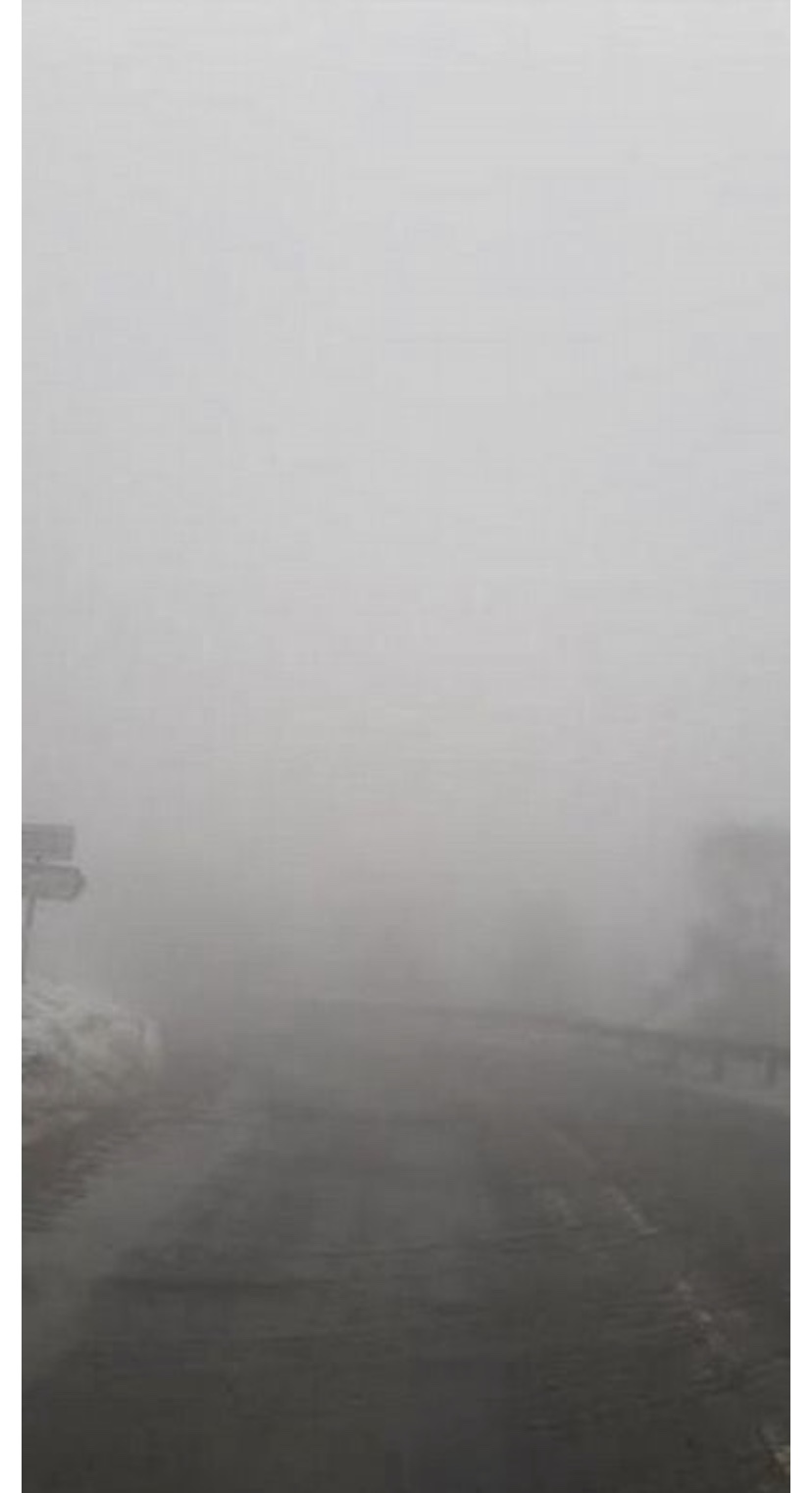 Троодос накрыло густым туманом: фото 4