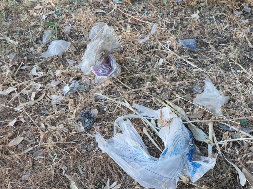 Парк Дасуди в Лимассоле снова зарастает мусором: фото 9