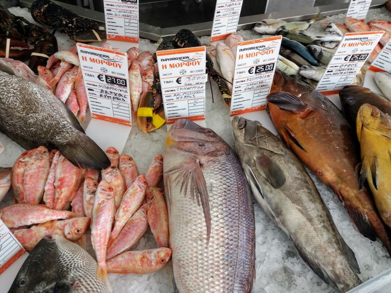 Особенности рыбалки на Кипре. С картинками и кратким экскурсом в экономику.: фото 7