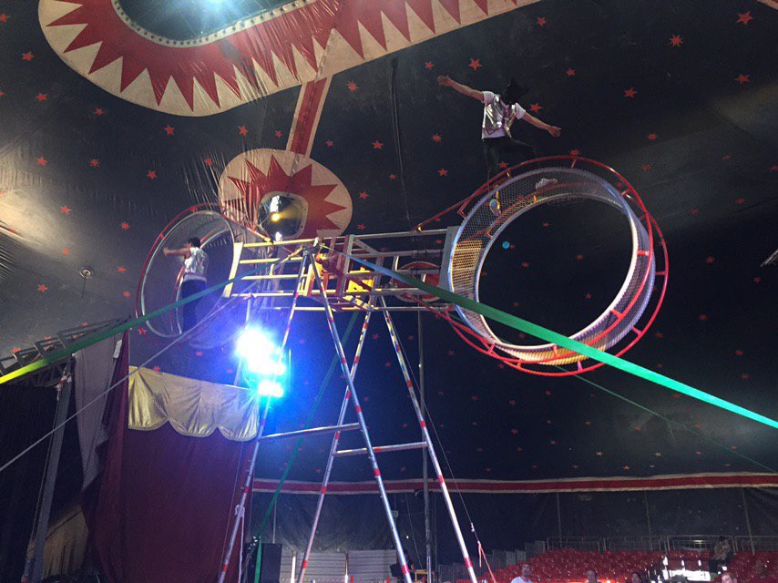Цирковое шоу в Лимассоле, которое нельзя пропустить!: фото 19