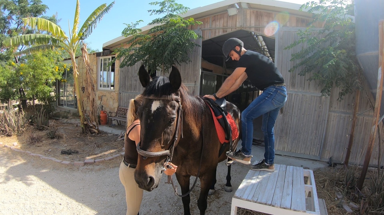 Берем бразды правления: прыжок в мир конного спорта Кипра: фото 9