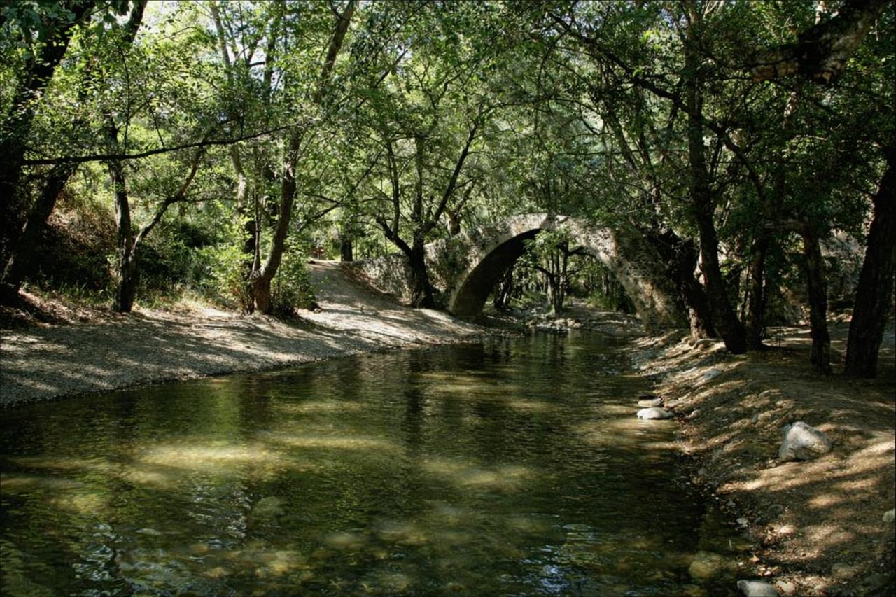 Paphos Forest